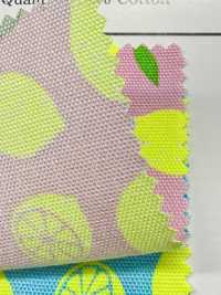 AP65103 형광 프린트 옥스포드 (통롤)[원단] COSMO TEXTILE 서브 사진