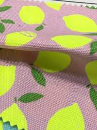 AP65103 형광 프린트 옥스포드 (통롤)[원단] COSMO TEXTILE 서브 사진