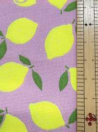 AP65103 형광 프린트 옥스포드 (통롤)[원단] COSMO TEXTILE 서브 사진