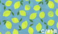 AP65103 형광 프린트 옥스포드 (통롤)[원단] COSMO TEXTILE 서브 사진