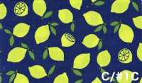 AP65103 형광 프린트 옥스포드 (통롤)[원단] COSMO TEXTILE 서브 사진