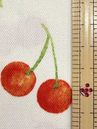 SP2650 Fruits Garden 옥스포드 (롤)[원단] COSMO TEXTILE 추가 이미지