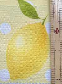 SP2650 Fruits Garden 옥스포드 (롤)[원단] COSMO TEXTILE 추가 이미지