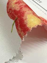 SP2650 Fruits Garden 옥스포드 (롤)[원단] COSMO TEXTILE 추가 이미지