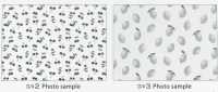 SP2650 Fruits Garden 옥스포드 (롤)[원단] COSMO TEXTILE 추가 이미지
