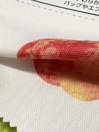 SP2650 Fruits Garden 옥스포드 (롤)[원단] COSMO TEXTILE 추가 이미지