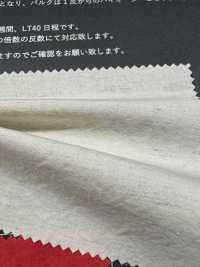 FJ430000 HIYORI 면/린넨 타이프라이터 하마카제직[원단] Fujisaki Textile 추가 이미지