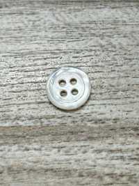 SW17-OUTLET 조개껍질 단추 - 진주조개껍질 IRIS 서브 사진